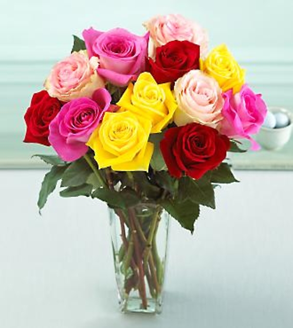 Sweet Mixed Color Rose