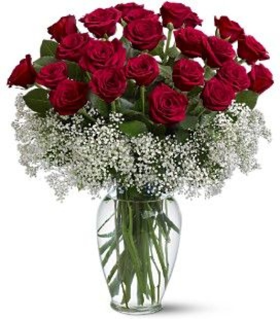 Bob\'s Rose Special   ( 2 Dozen roses )