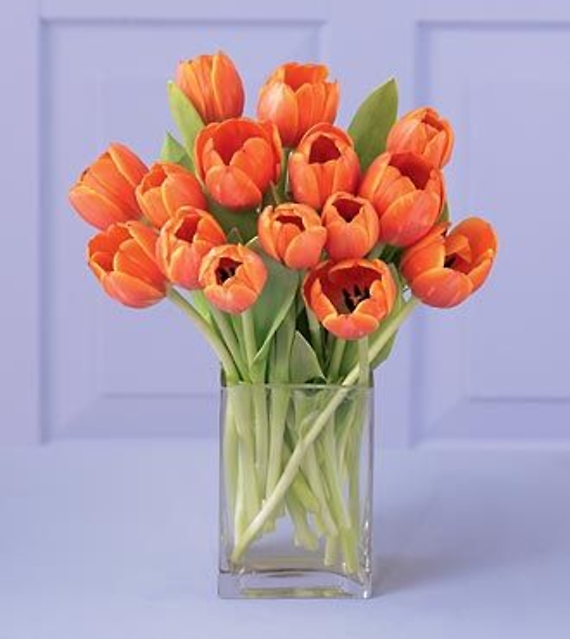 Tulip Bouquet