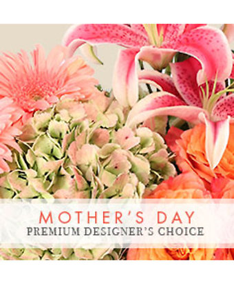 Designer\'s choice premium