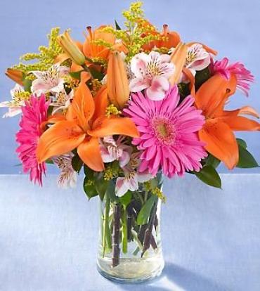 Brilliant Blooms For Mom DESIGNERS CHOICE ONLY