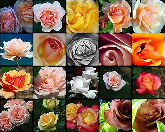 The Ultimate Love Affair