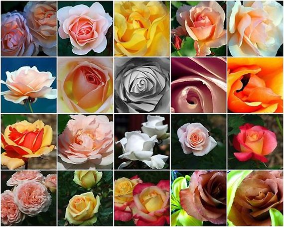 The Ultimate Love Affair