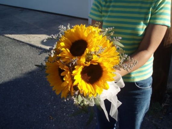 Bright and Sunny